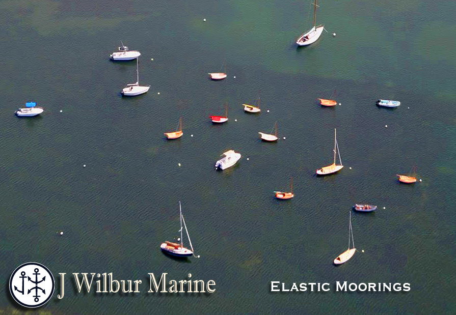 MouseOver to view Chain Mooring eel grass damage  
